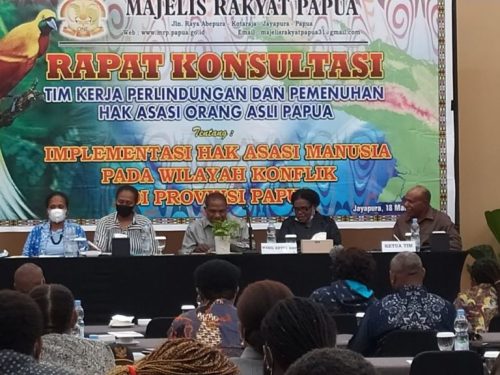 Proteksi Orang Asli Papua, Pemprov, DPRP dan MRP sudah bikin apa?